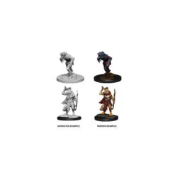 D&D Nolzur's Marvelous Assortiment Miniatures à Peindre Wererat & Weretiger