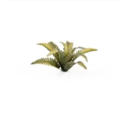 Deer Fern -Wargame Spirit Boutique deer fern 3