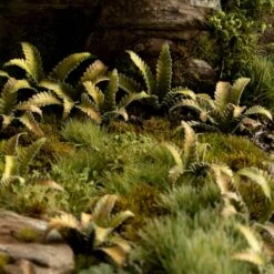 Deer Fern -Wargame Spirit Boutique deer fern 4