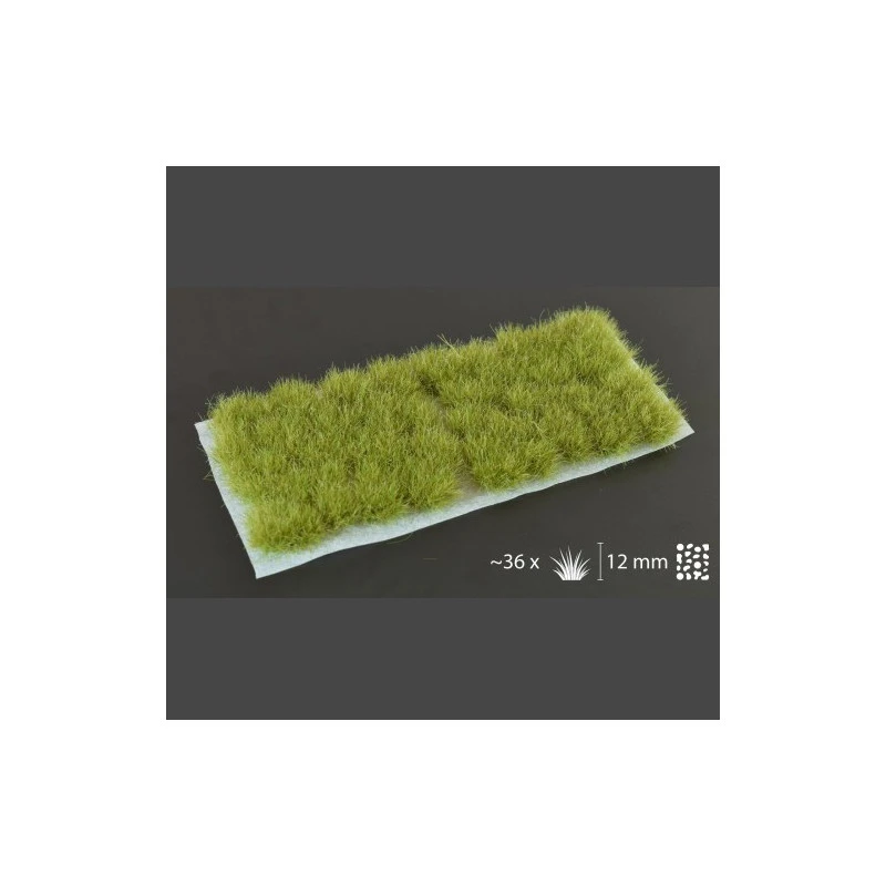 Dry Green XL 12mm Wild XL 2 Dry Green XL 12mm Wild XL – Image 2