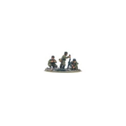 German Veteran Infantry Medium Mortar Team