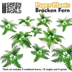 Plantes à Papier - Fougère Pteridium