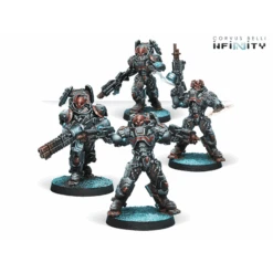 Rodok, Armed Imposition Detachment