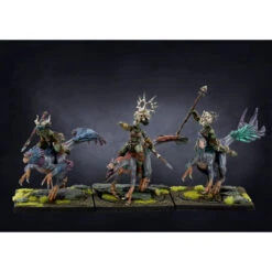 W’adrhŭn: Raptor Riders -Wargame Spirit Boutique wadrhun raptor riders 1